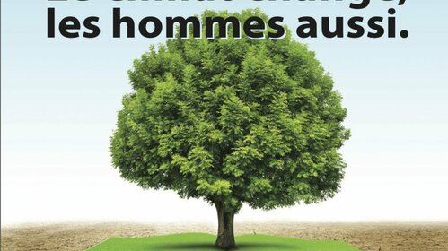 CONFERENCES CLIMAT 22-23-24 JUILLET